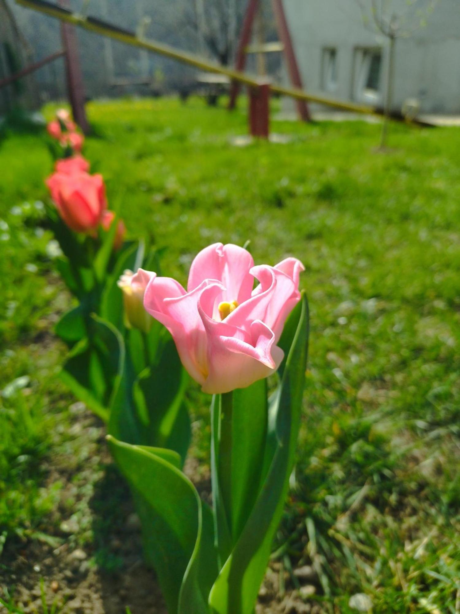Konak Garavi Sokak Kursumlija Cameră foto